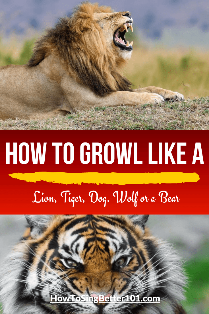 How to growl like a ( Lion, Tiger, Dog, Wolf or a Bear ) » How To Sing - How To Growl Like A Wolf