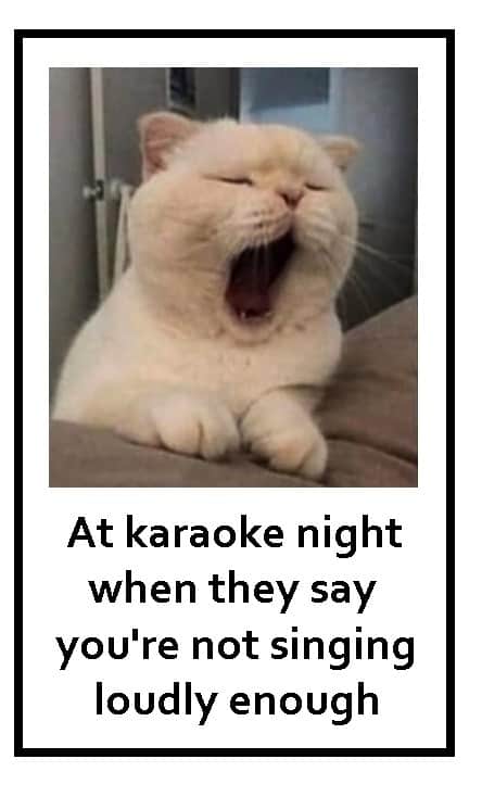 singing meme 4 howtosingbetter101.com